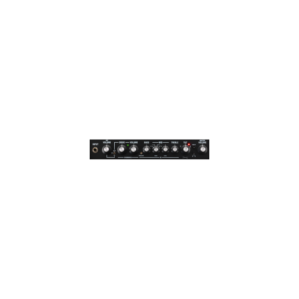 Laney DIGBETH FOUNDRY Series DBF100 - Bass guitar combo - 1x12" woofer